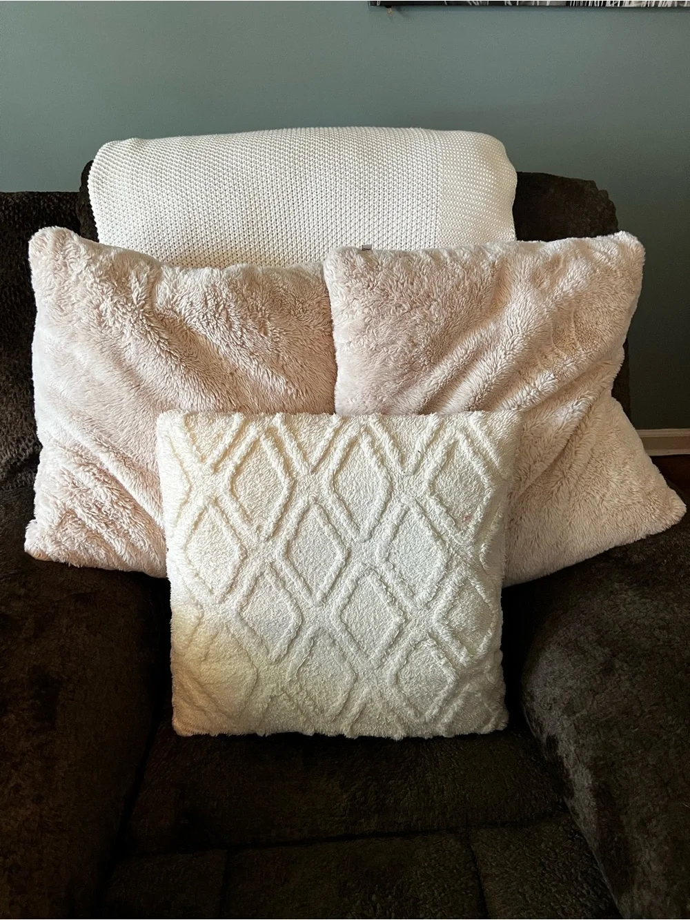 Plush Cream Decorative Throw Pillow Set - Soft Texture